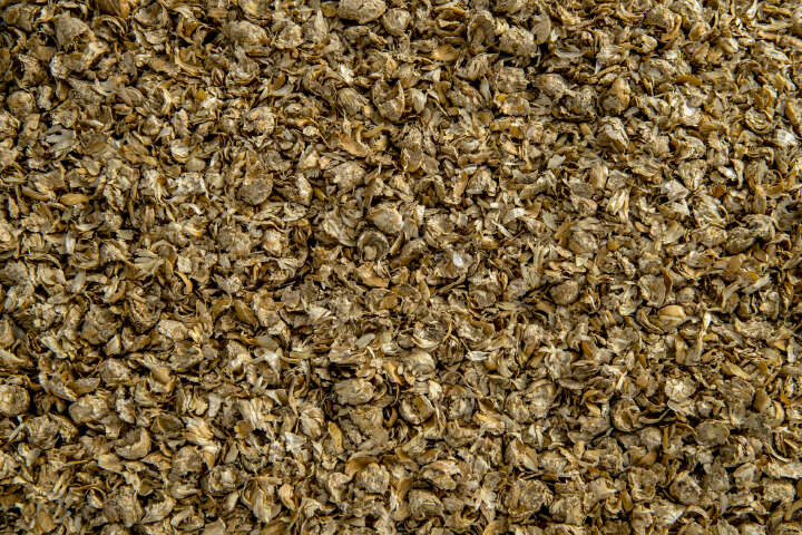 Dinkeleinstreu 15 kg